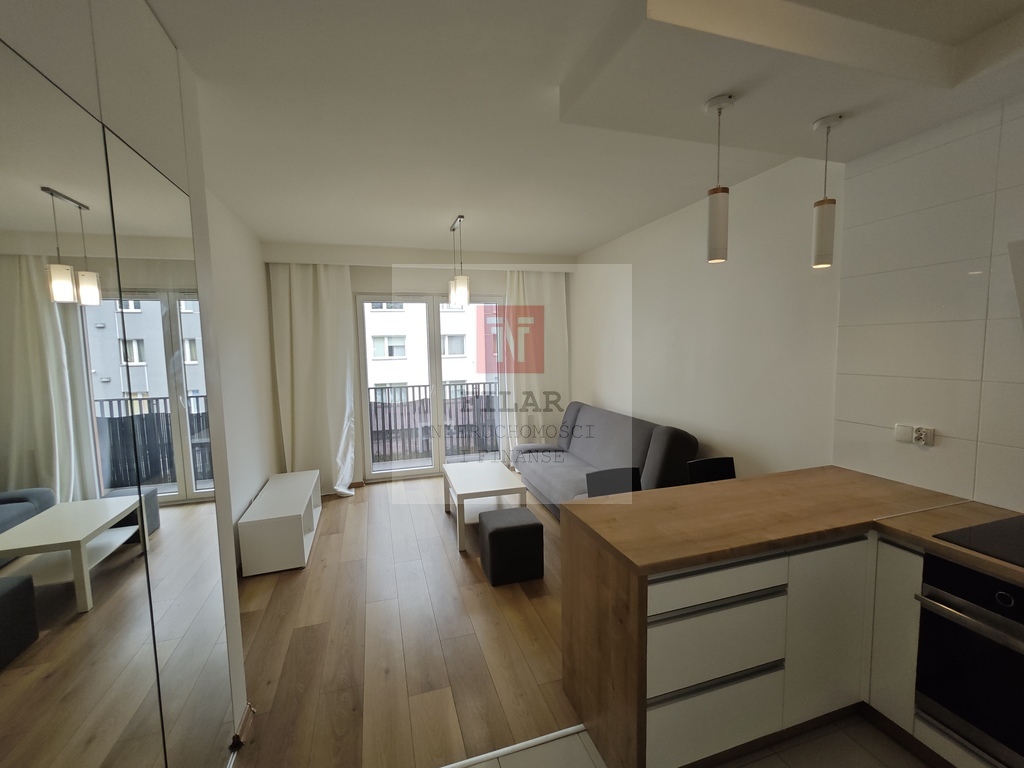 Eleganckie mieszkanie 2 pok. na wynajem + garaż! (1)