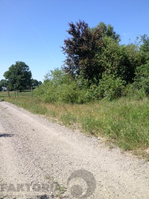 Lubczyna działka bud. rekr. 1548 m2, 70 zł/m2 (5)