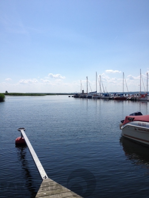 Lubczyna działka bud. rekr. 1548 m2, 70 zł/m2 (8)