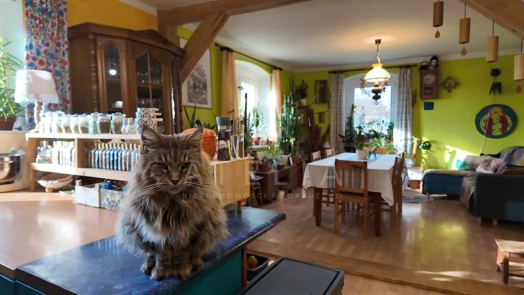 Artystyczny zaułek w Ukiernicy - cisza i spokój (2)