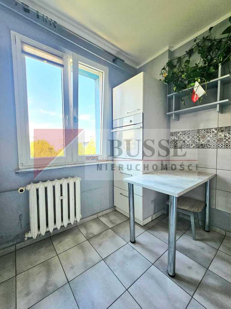 3. pokoje w centrum Polic na wynajem od zaraz! (8)