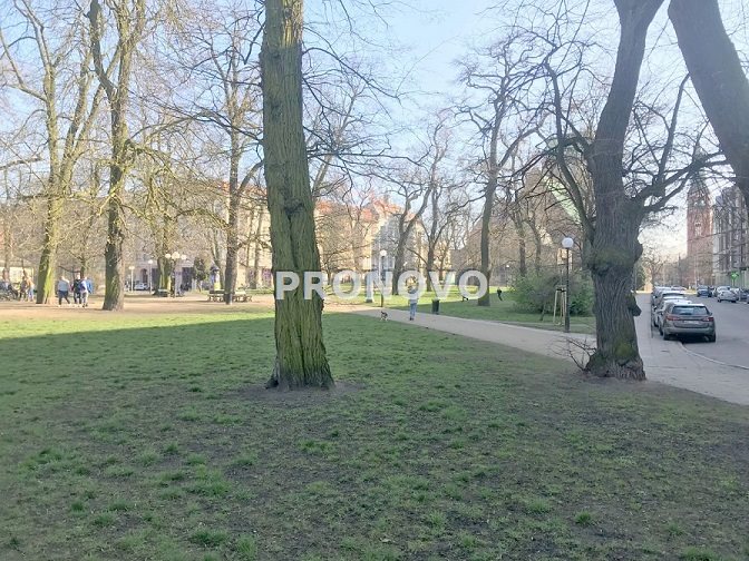 Kawalerka po generalnym remoncie Centrum. (12)