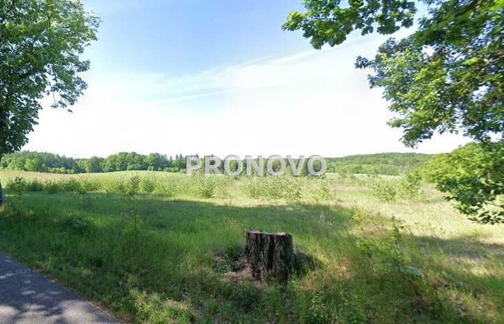 działka rolna 19 ha koło Węgorzyna (1)