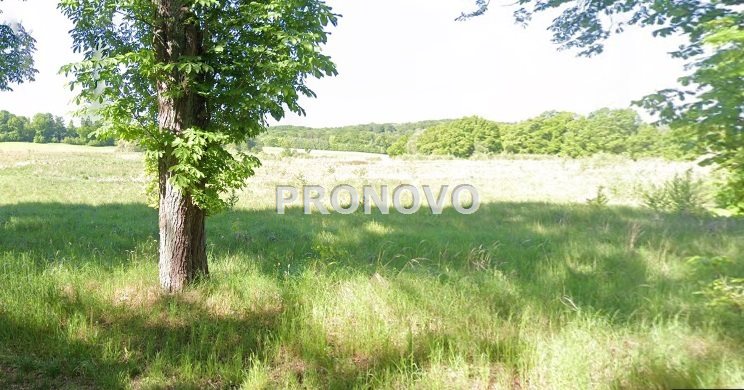 działka rolna 19 ha koło Węgorzyna (10)