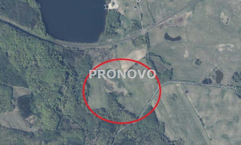 działka rolna 19 ha koło Węgorzyna (4)