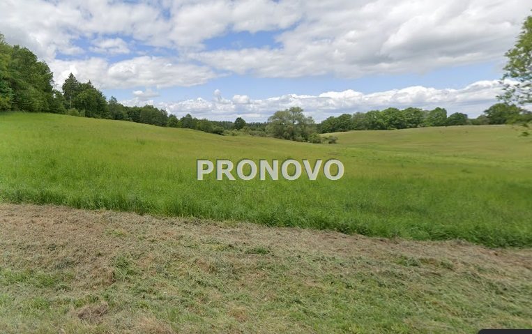 działka rolna 19 ha koło Węgorzyna (6)