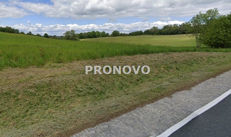 działka rolna 19 ha koło Węgorzyna (7)