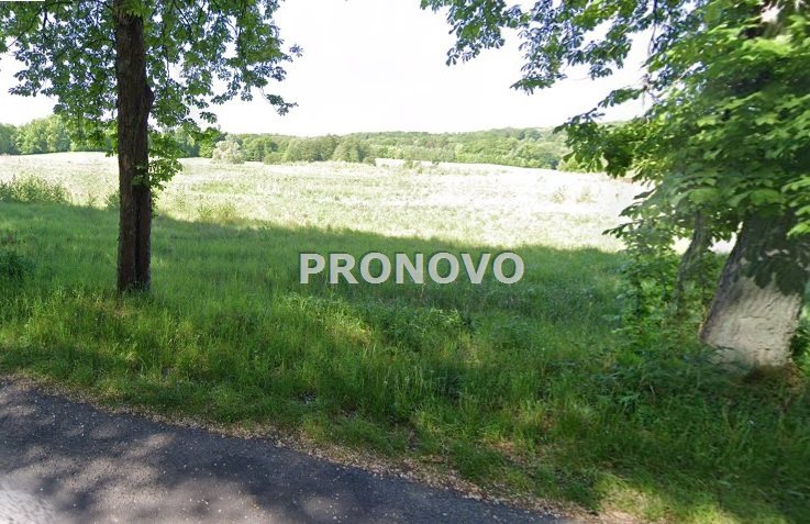 działka rolna 19 ha koło Węgorzyna (9)