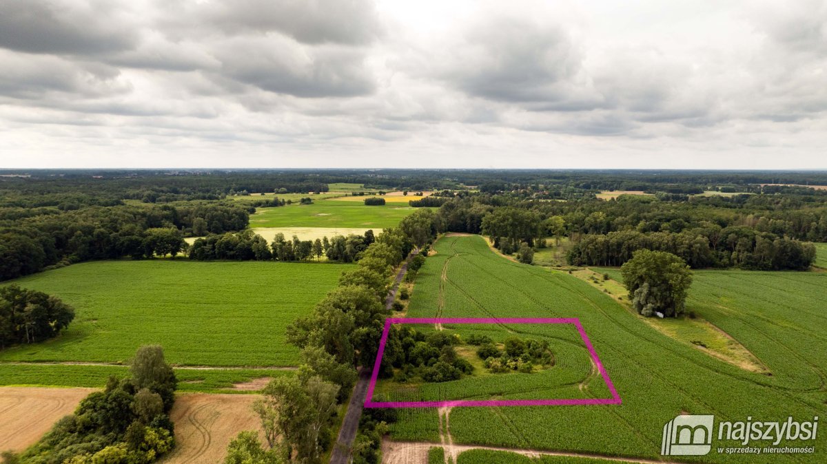 REDŁO - DZIAŁKA SIEDLISKOWA  0,9215 HA  (1)