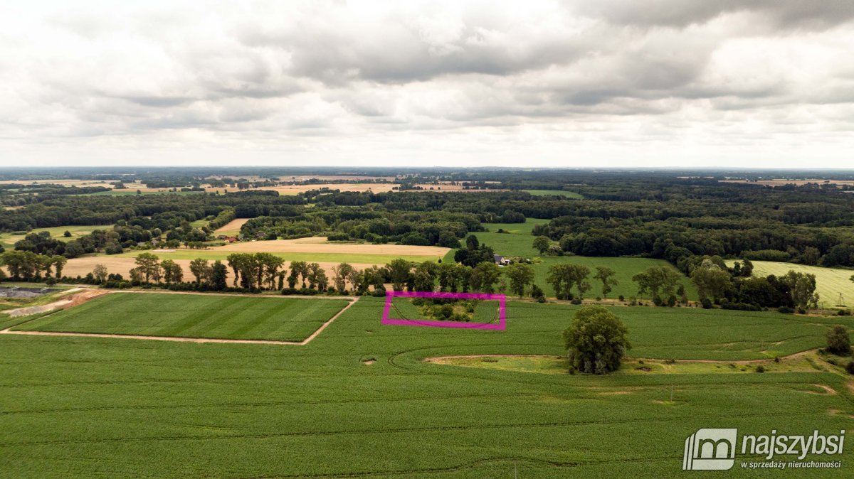 REDŁO - DZIAŁKA SIEDLISKOWA  0,9215 HA  (2)