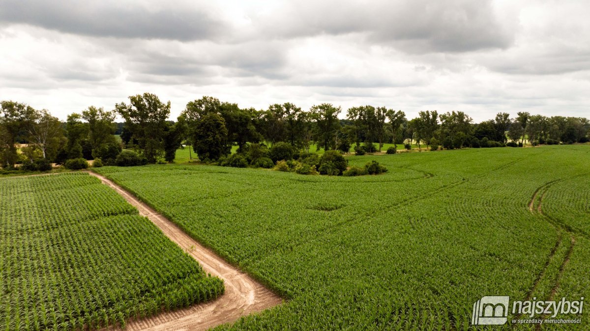 REDŁO - DZIAŁKA SIEDLISKOWA  0,9215 HA  (7)