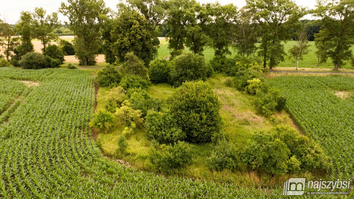 REDŁO - DZIAŁKA SIEDLISKOWA  0,9215 HA  (8)