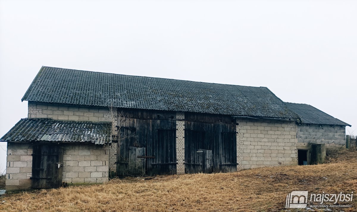 CHOCIWEL - gospodarstwo rolne na sprzedaż (3)