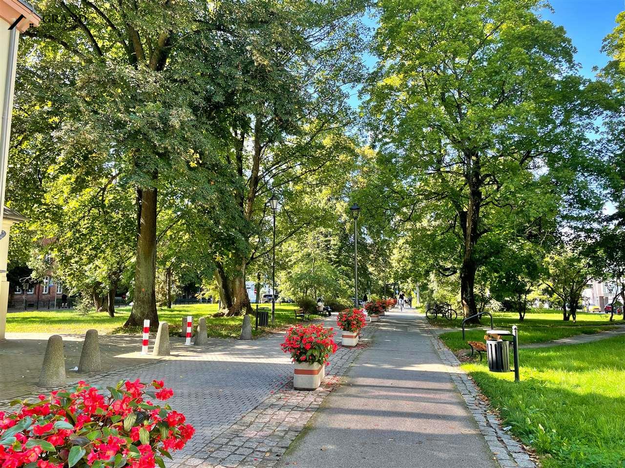 Lokal usługowy 2 pomieszczenia na wynajem ul. Zwyc (11)