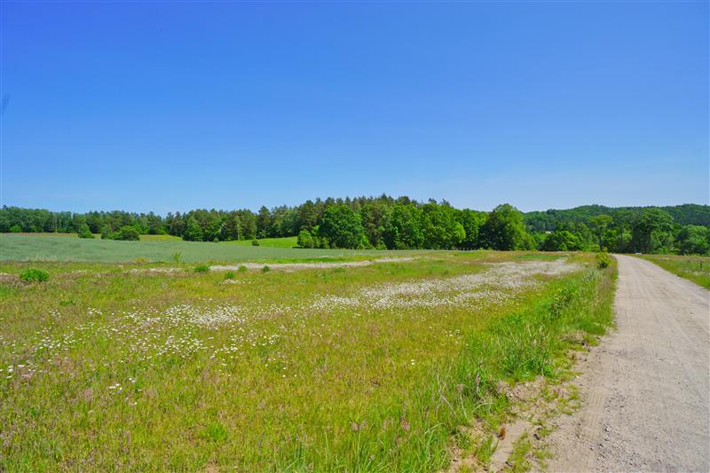 Działka budowlana - Polanów  (11)