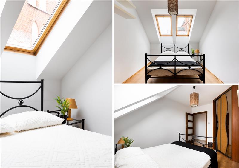 Mieszkanie - Koszalin  (4)