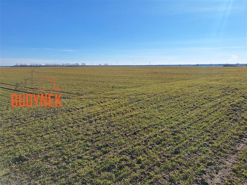 Działka - Darłowo  (3)