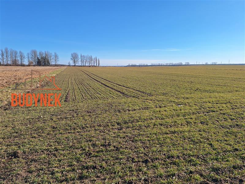 Działka - Darłowo  (5)