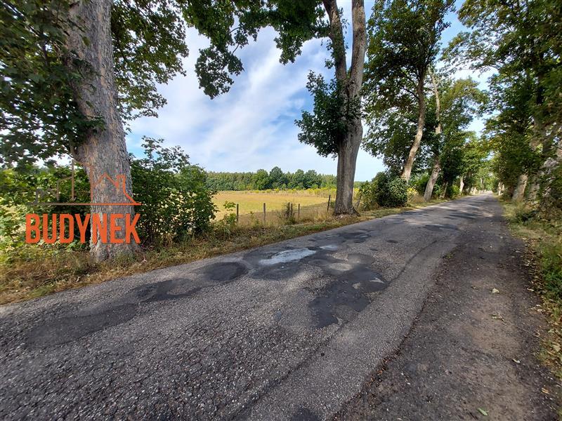 Działka budowlana - Niemica  (2)