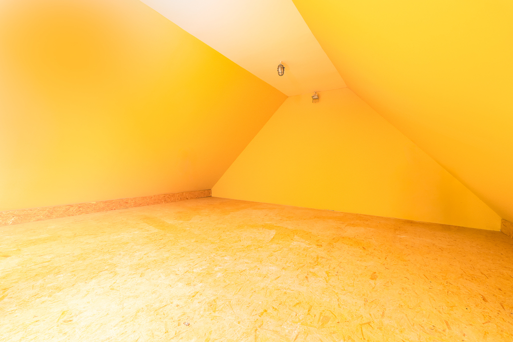 Warszewo-Bliźniak z ogromnym potencjałem (19)