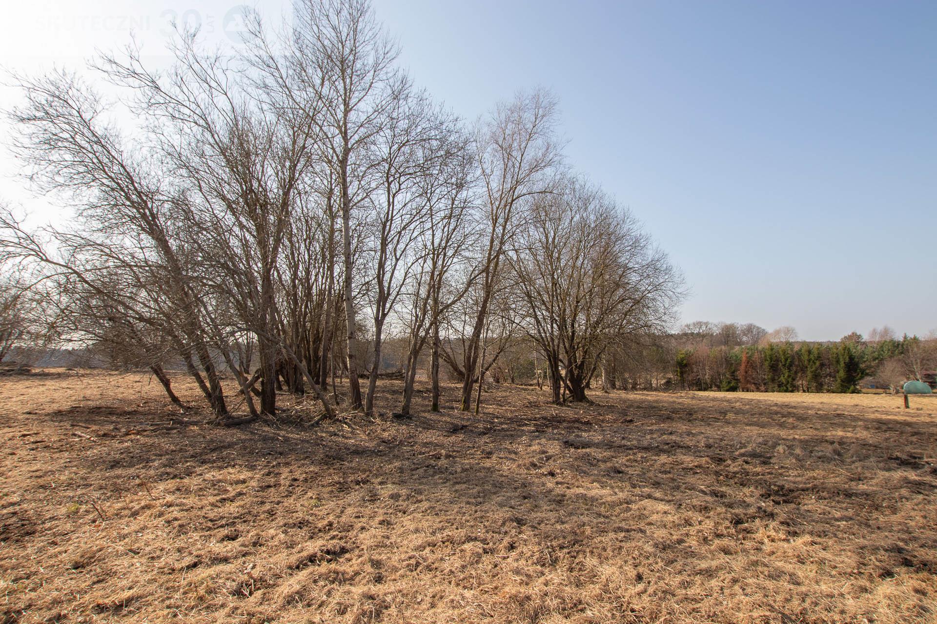 Działka budowlana - Sianów  (6)