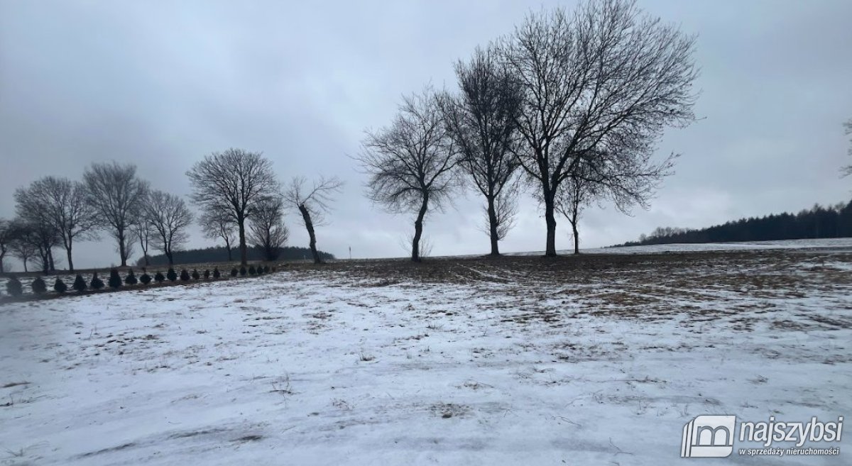 Karlino- dom wolnostojący w malowniczej okolicy (6)