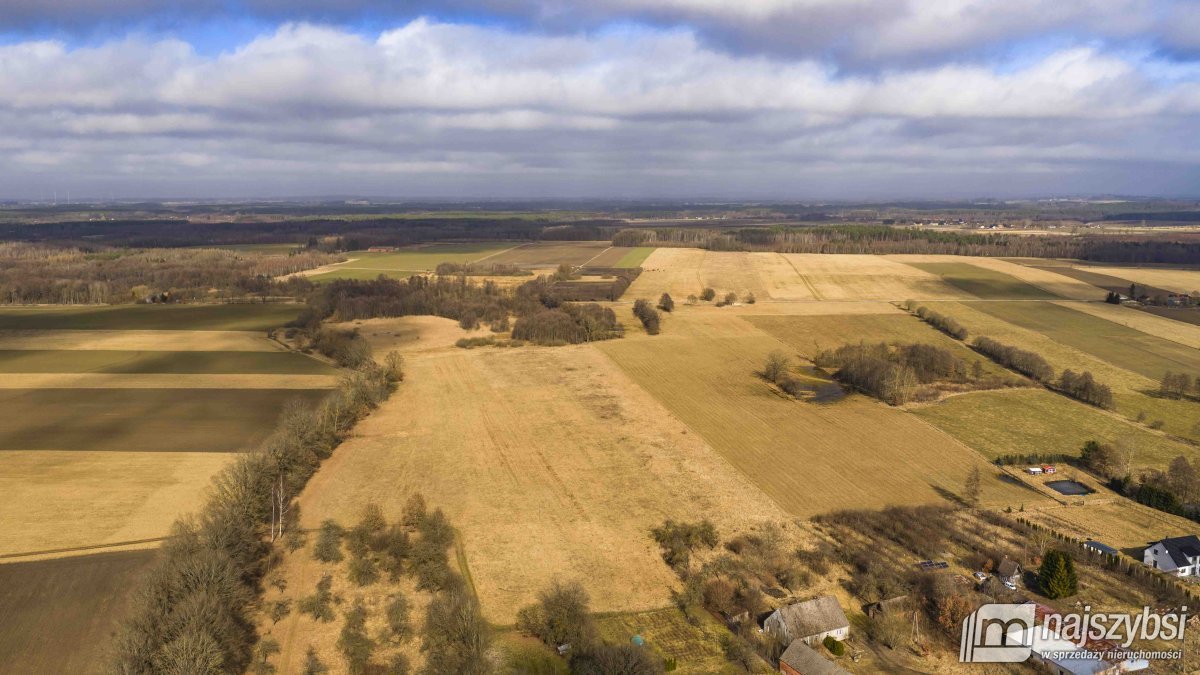 Białogard-działka rolno-leśna 4,91 ha- m. Żeleźno (10)