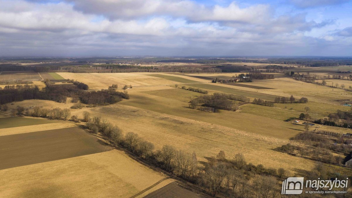 Białogard-działka rolno-leśna 4,91 ha- m. Żeleźno (11)