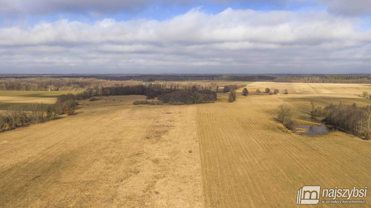 Białogard-działka rolno-leśna 4,91 ha- m. Żeleźno (12)