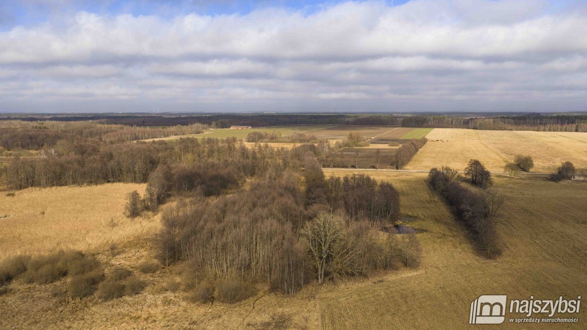 Białogard-działka rolno-leśna 4,91 ha- m. Żeleźno (13)