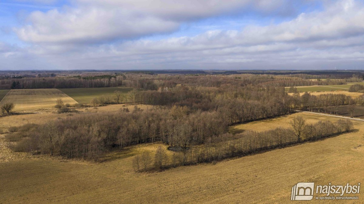 Białogard-działka rolno-leśna 4,91 ha- m. Żeleźno (14)