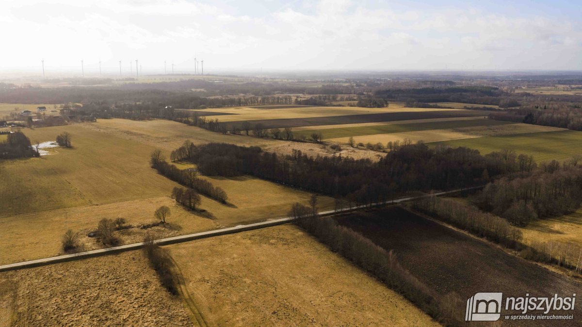 Białogard-działka rolno-leśna 4,91 ha- m. Żeleźno (16)