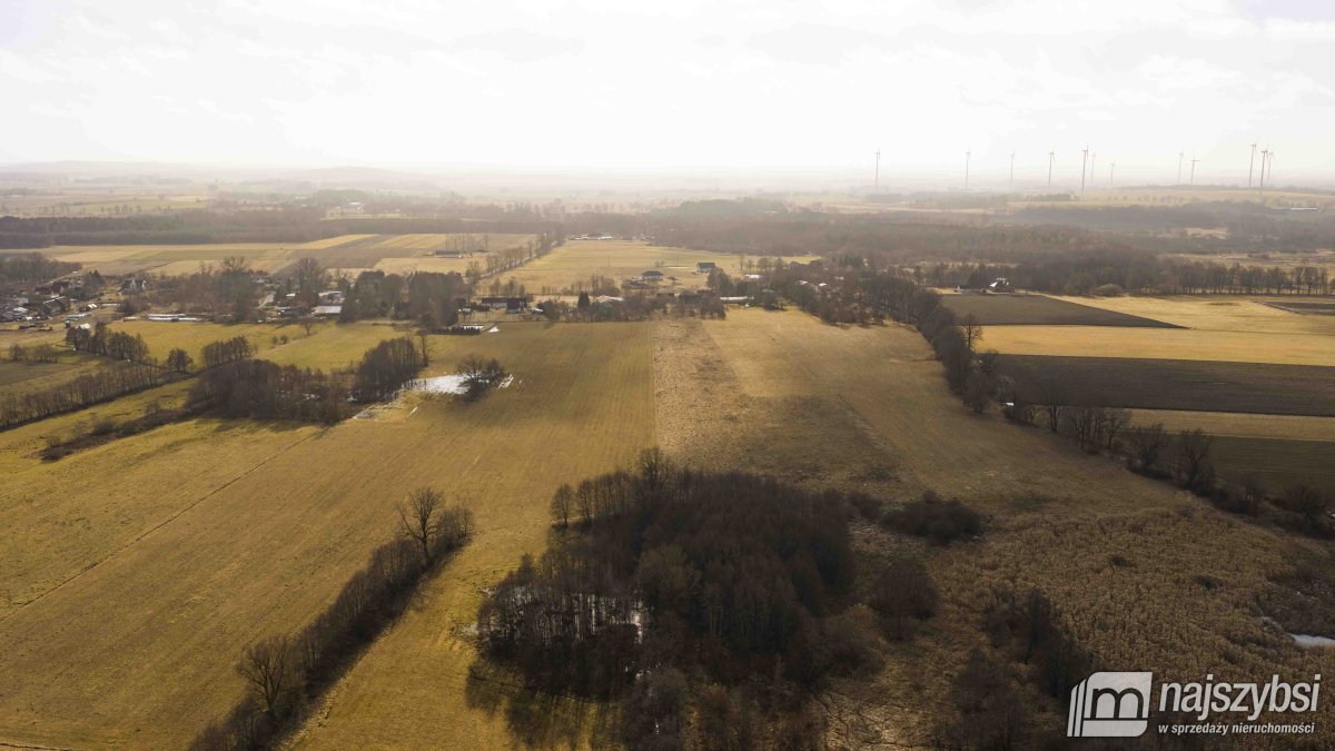 Białogard-działka rolno-leśna 4,91 ha- m. Żeleźno (18)