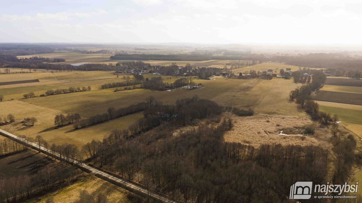 Białogard-działka rolno-leśna 4,91 ha- m. Żeleźno (19)
