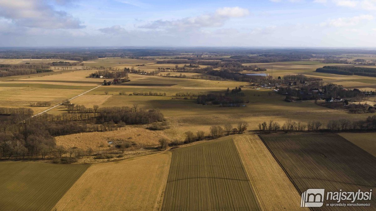 Białogard-działka rolno-leśna 4,91 ha- m. Żeleźno (21)