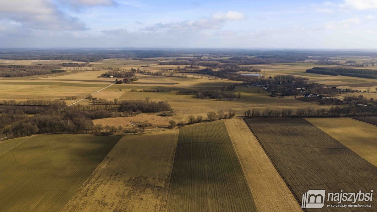 Białogard-działka rolno-leśna 4,91 ha- m. Żeleźno (22)