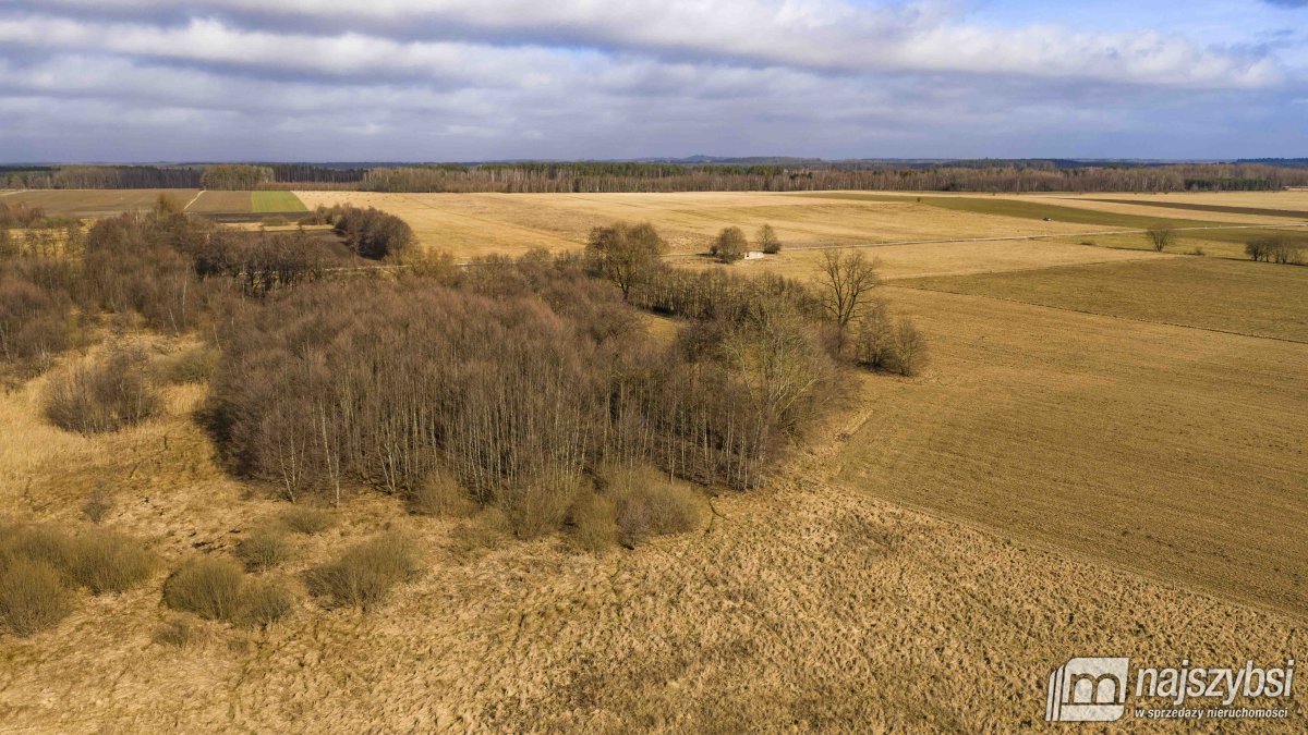 Białogard-działka rolno-leśna 4,91 ha- m. Żeleźno (24)