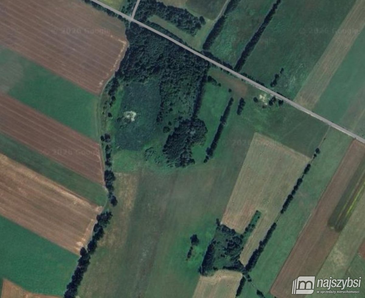 Białogard-działka rolno-leśna 4,91 ha- m. Żeleźno (3)