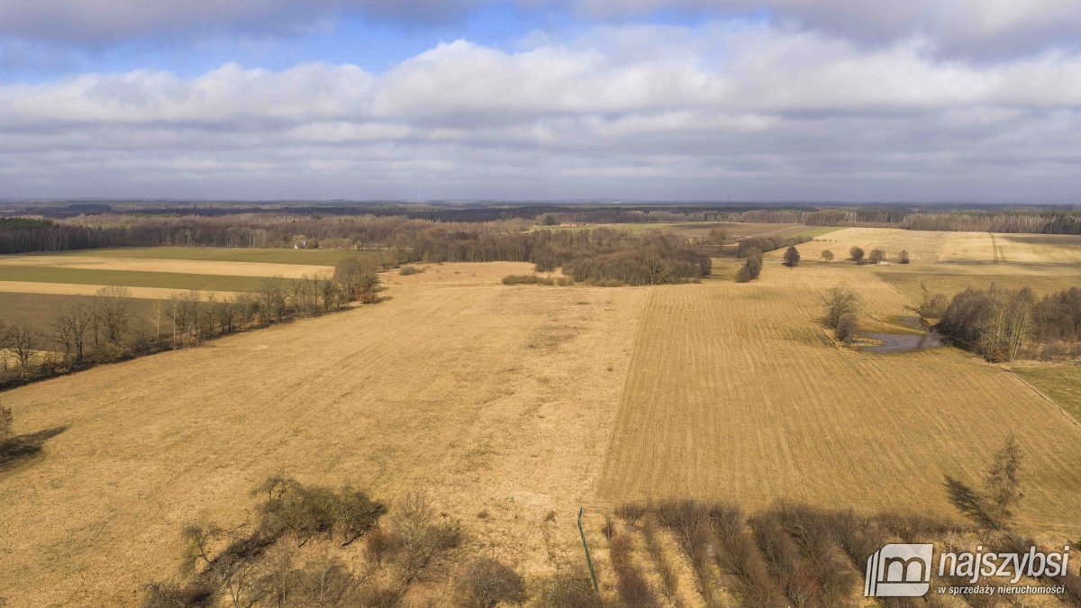 Białogard-działka rolno-leśna 4,91 ha- m. Żeleźno (7)