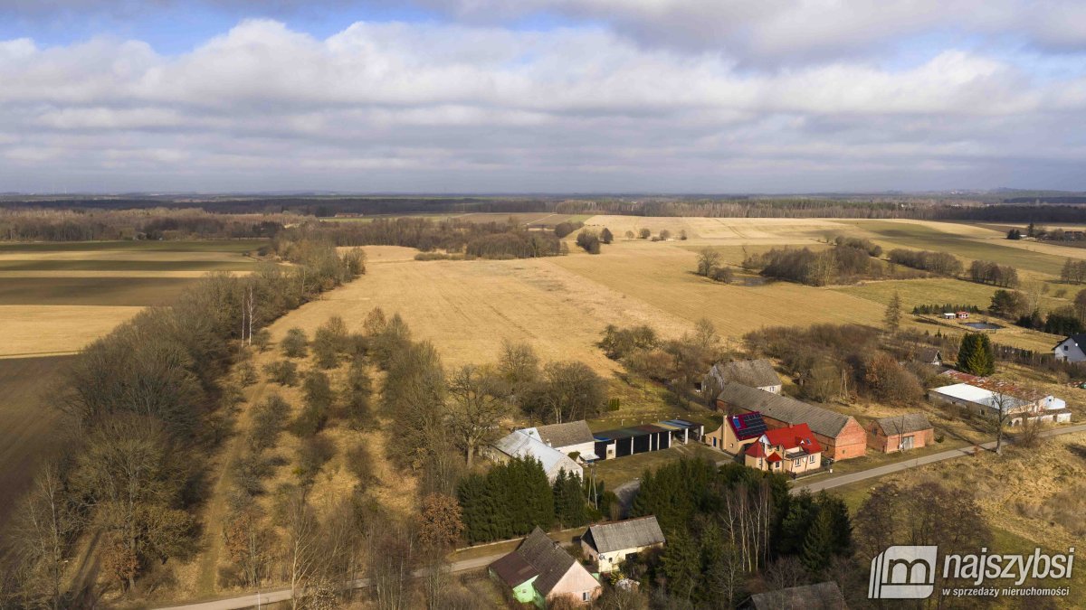 Białogard-działka rolno-leśna 4,91 ha- m. Żeleźno (9)