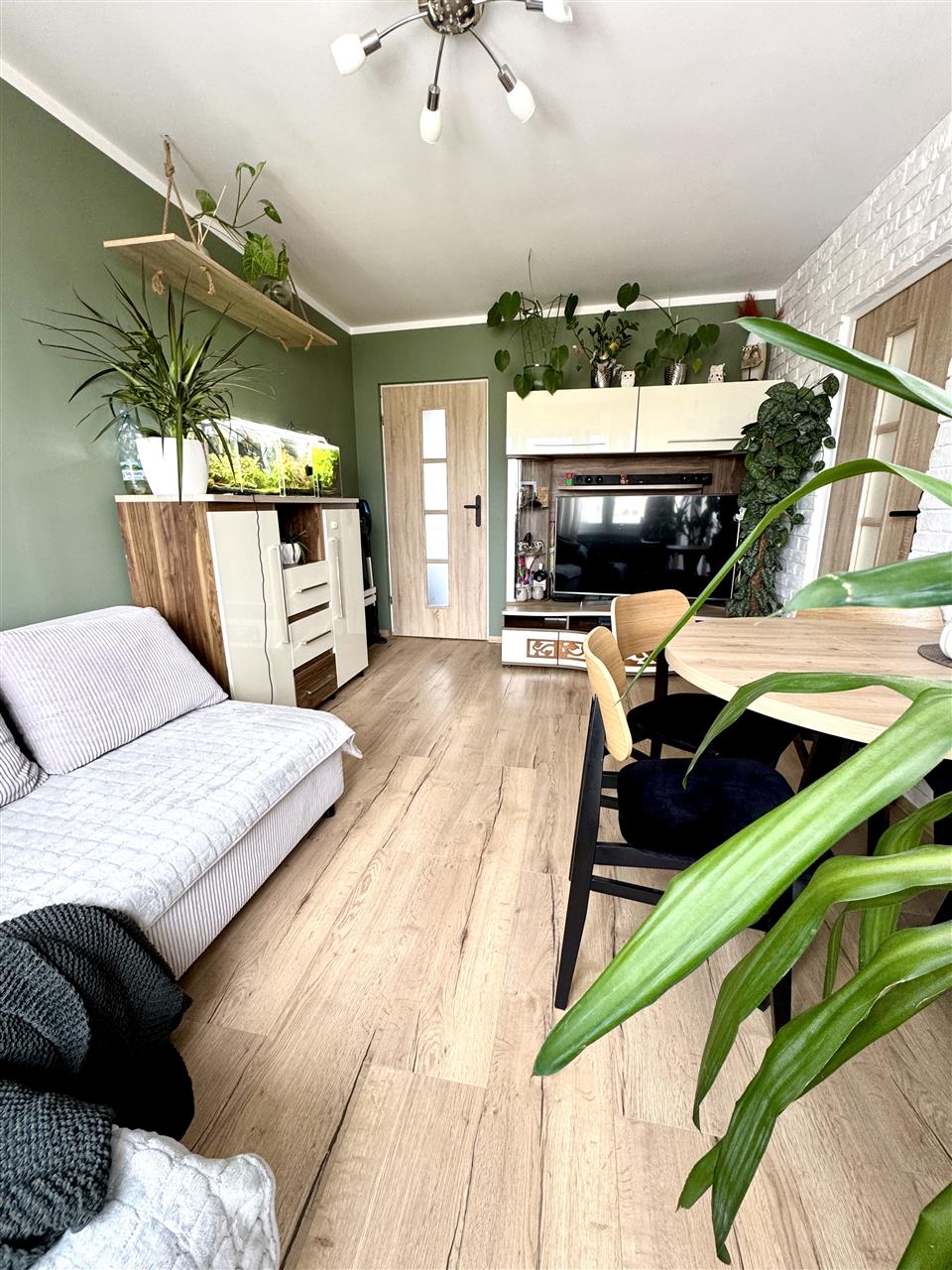 Mieszkanie - Koszalin  (2)