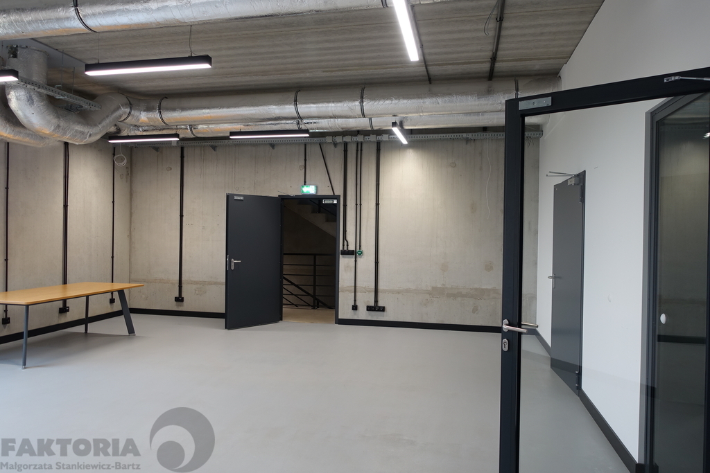 Dołuje pomieszczenia biurowe 290 m2 (4)