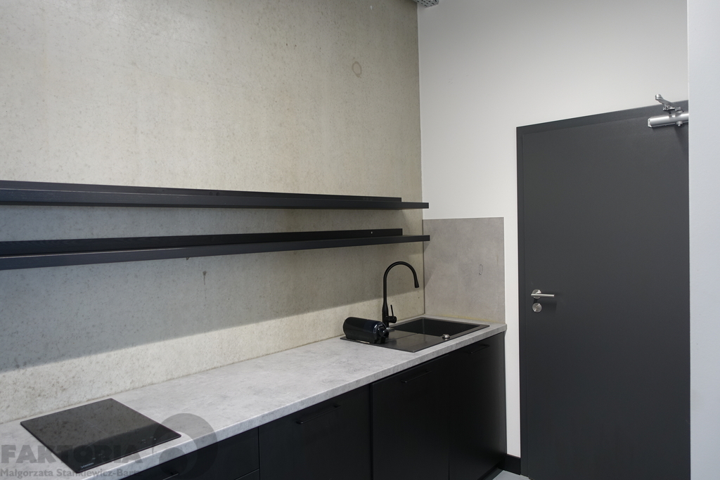 Dołuje pomieszczenia biurowe 290 m2 (15)