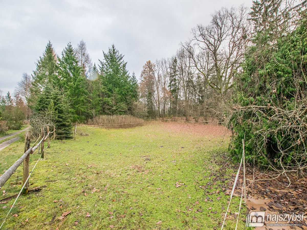 Cudowne miejsce z duszą na uboczu. (38)