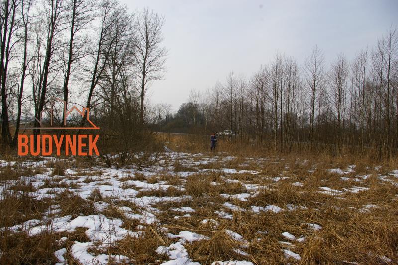 Działka rolna - Malechowo  (10)