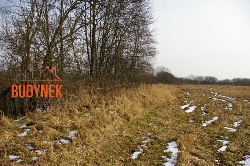 Działka rolna - Malechowo  (12)