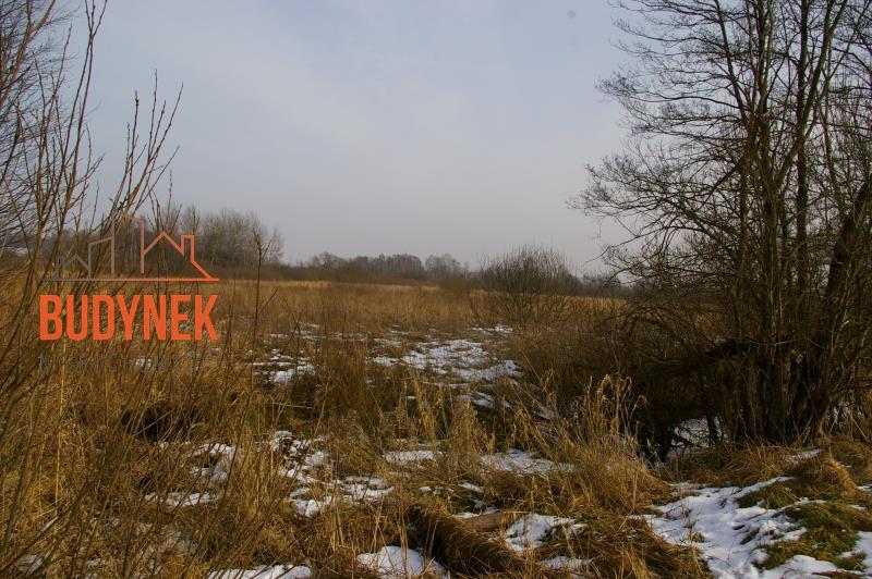 Działka rolna - Malechowo  (13)