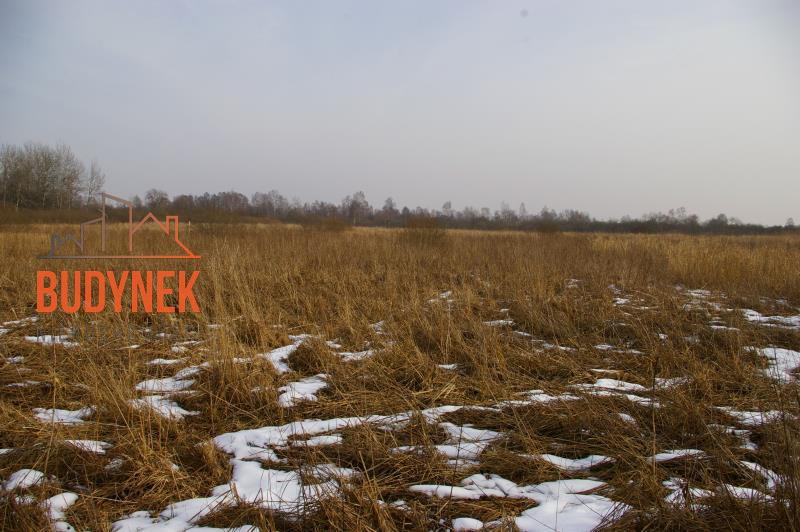 Działka rolna - Malechowo  (2)