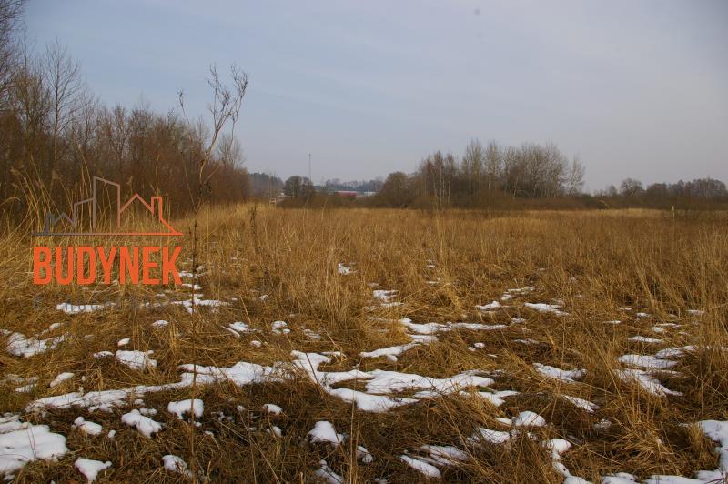 Działka rolna - Malechowo  (3)