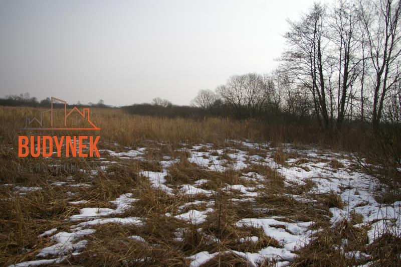 Działka rolna - Malechowo  (4)